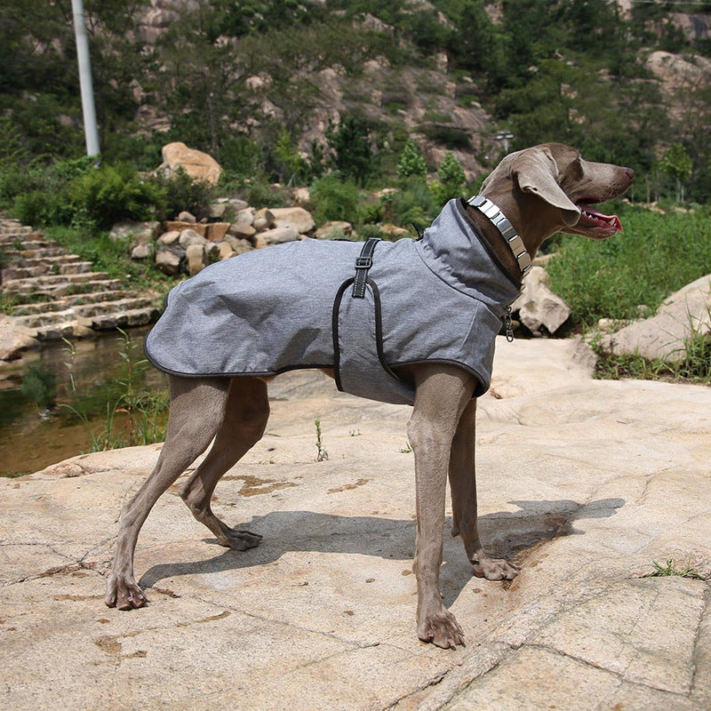Pet Shell Jacket Winter Outdoor Ski Suit Apparel
