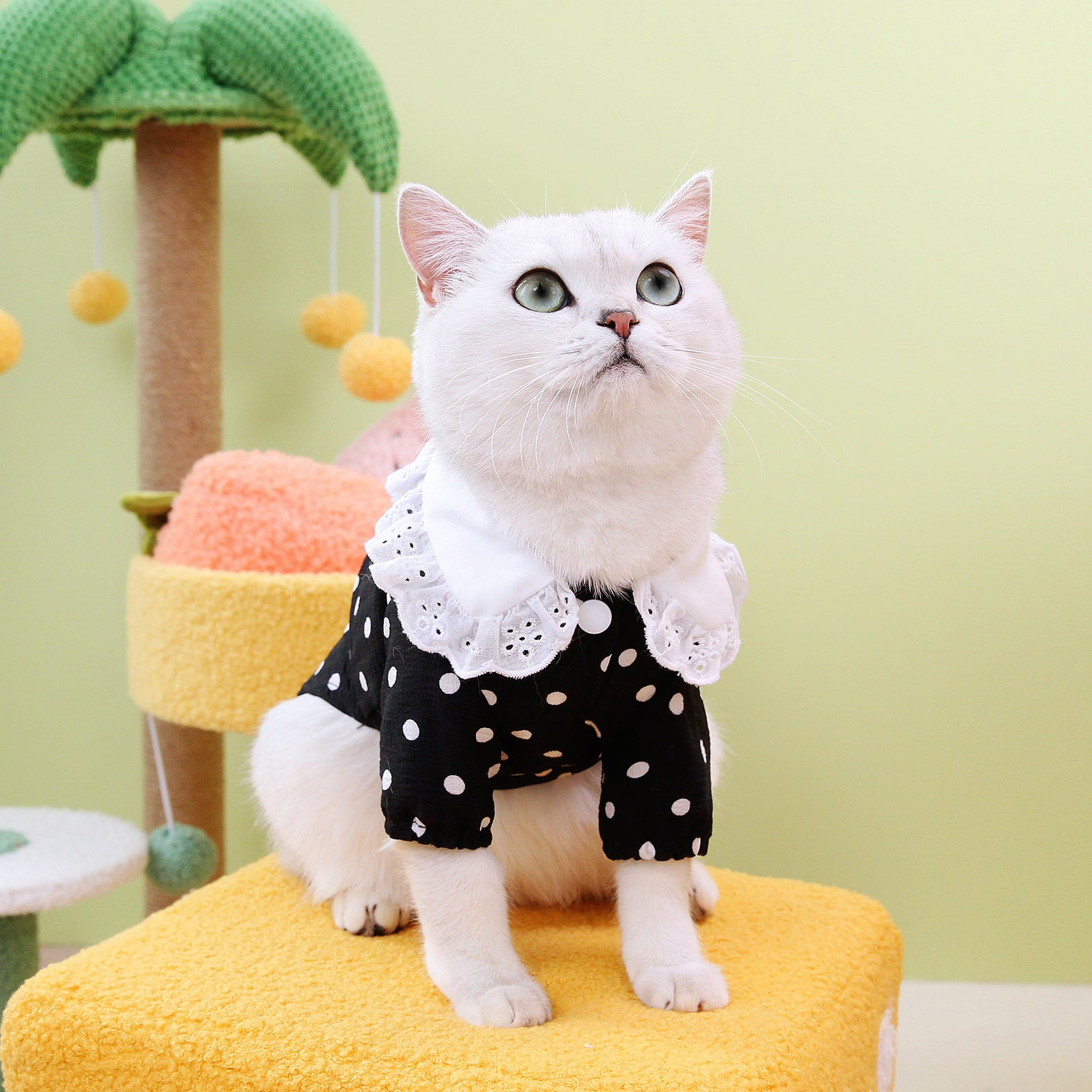 Blue Pet T Shirt Comfortable Casual Everyday Wear