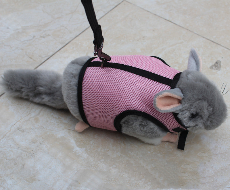 Adjustable Small Pet Walking Leash