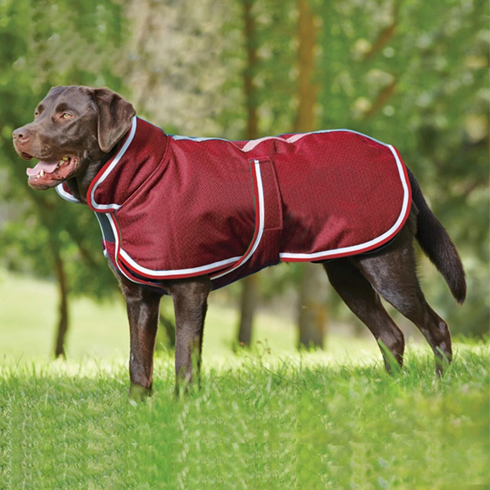 Warm Waterproof Pet Jacket For Autumn Winter Comfort
