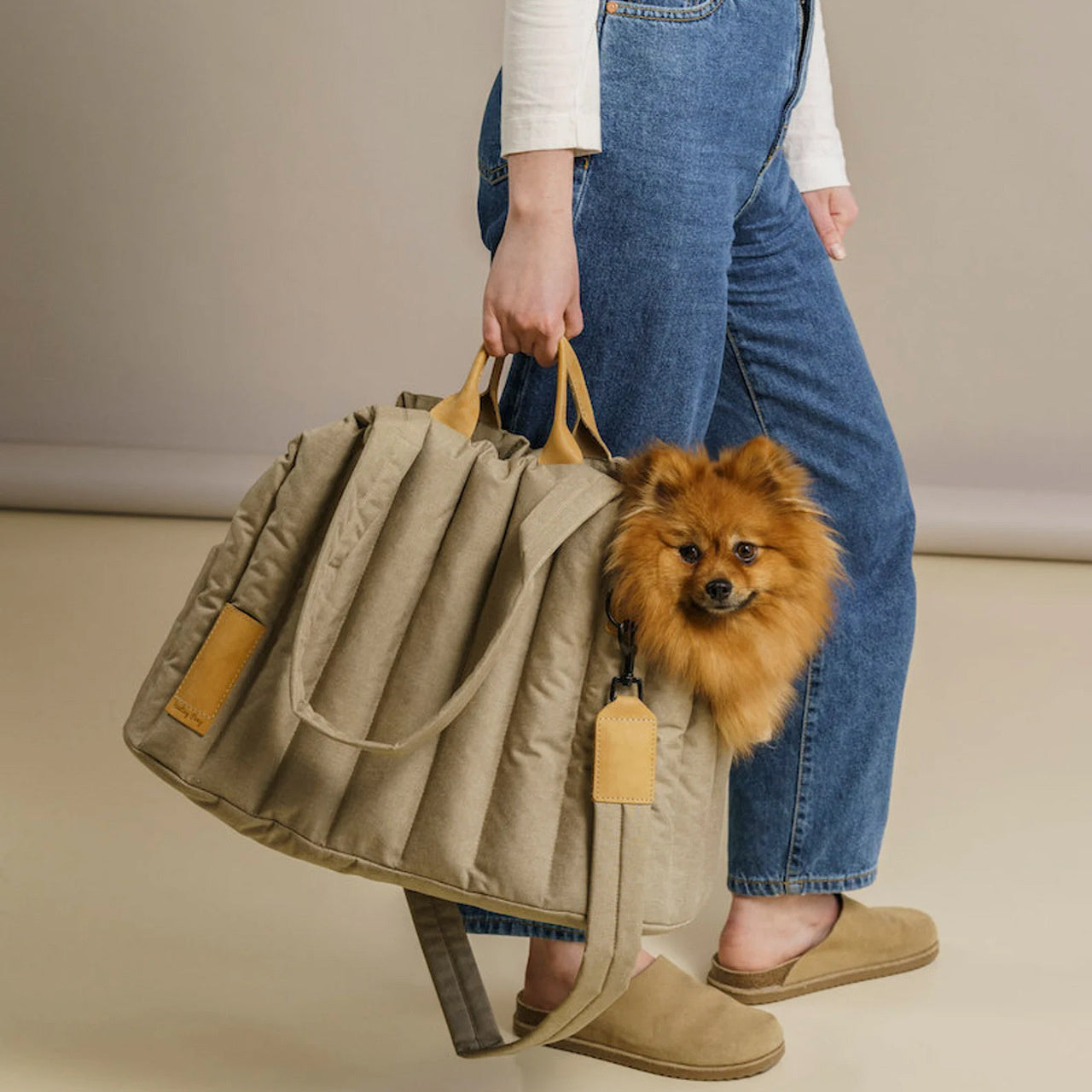 Pet Waterproof Lightweight Portable Carrier Handbag Bag