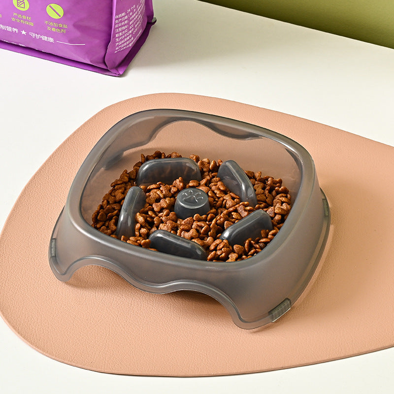 Anti-Choking Pet Slow Feeding Water Bowl Dispenser
