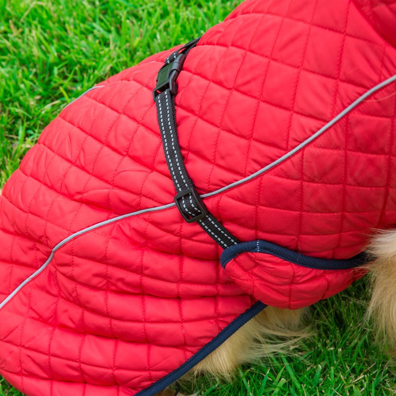 Adjustable Warm Cotton Pet Jacket For Comfort Protection