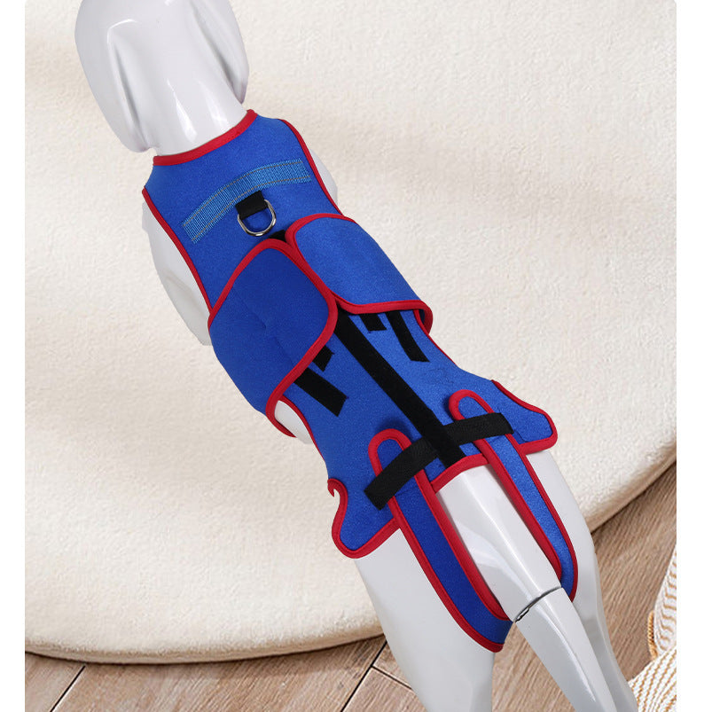Spine Support Anti Hunch Pet Jacket
