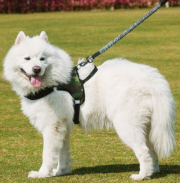 Chest Harness Pet Leash Set