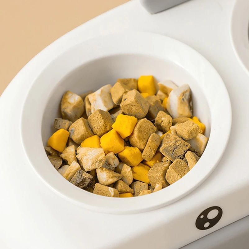Duck Design Pet Double Bowl Plastic Feeding Tray