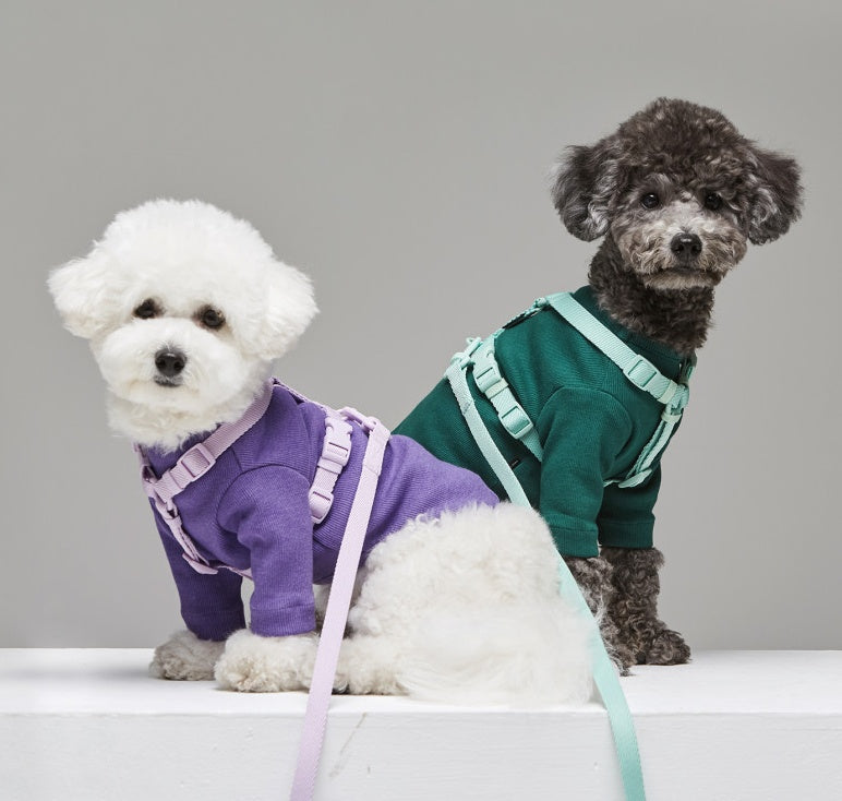 Macaron Style Pet Leash Harness Set
