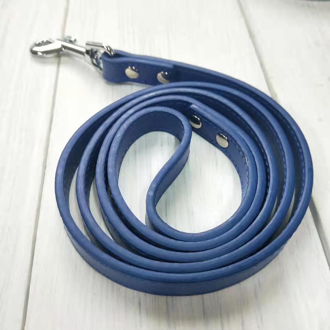 Pet Collar Leash Set