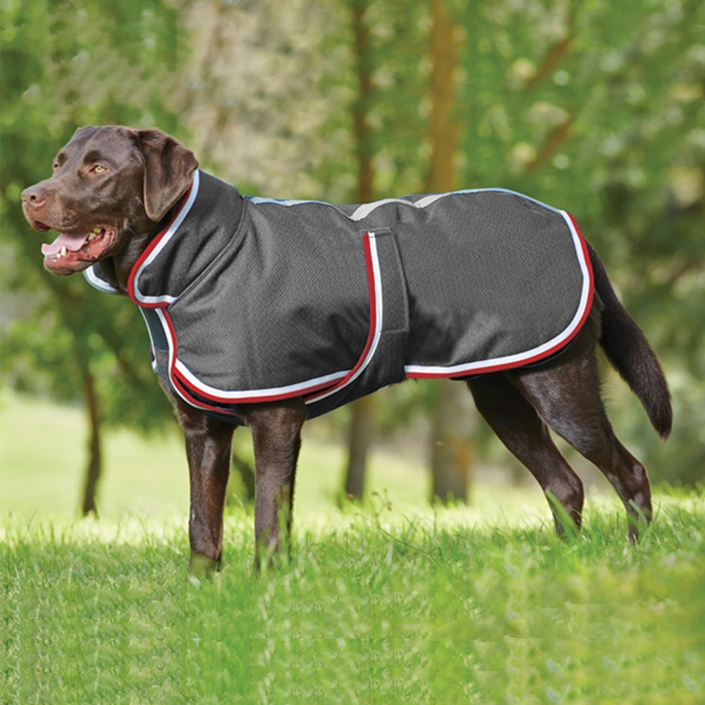 Warm Waterproof Pet Jacket For Autumn Winter Comfort