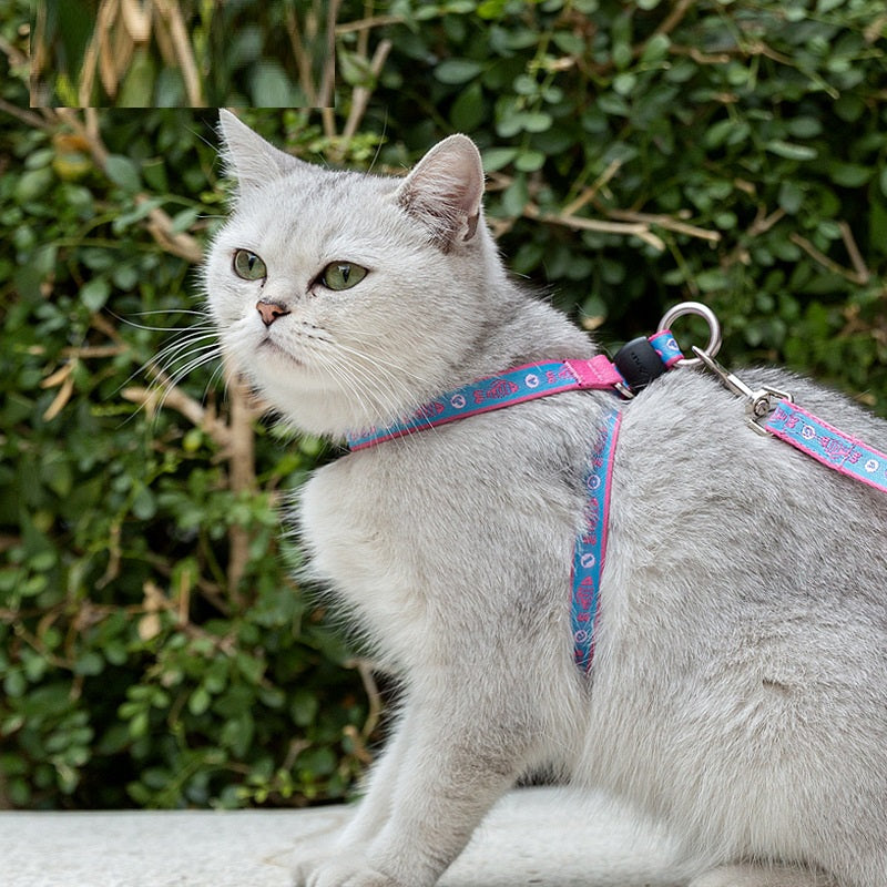 Pet Bell Chest Strap Vest Leash Harness Package Rope