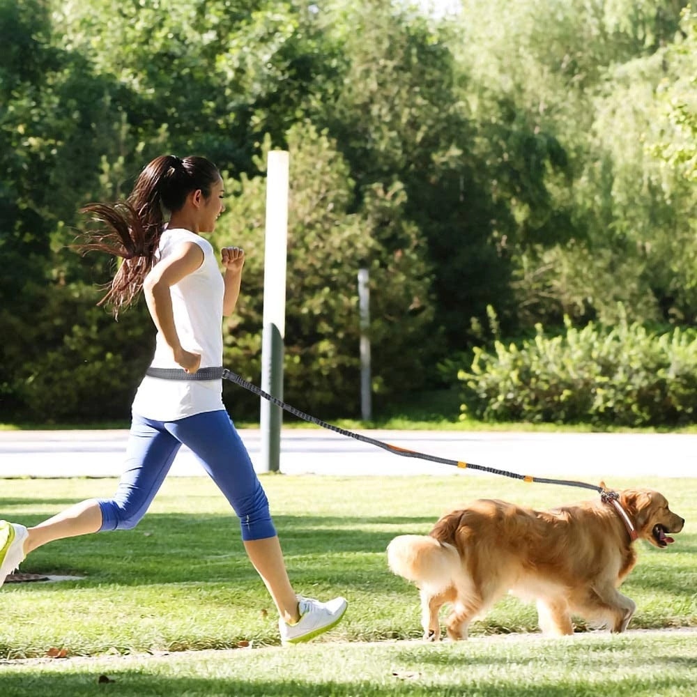 Adjustable Pet Harness Collar And Jogging Leash
