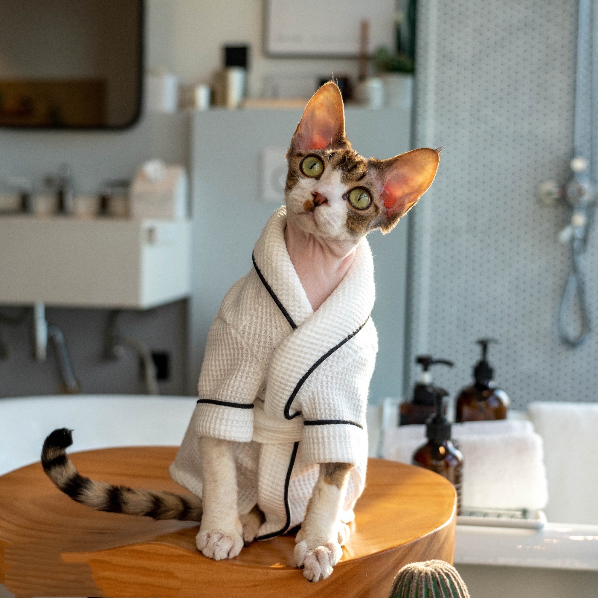 Soft Absorbent Pet Bathrobe And Towel Set