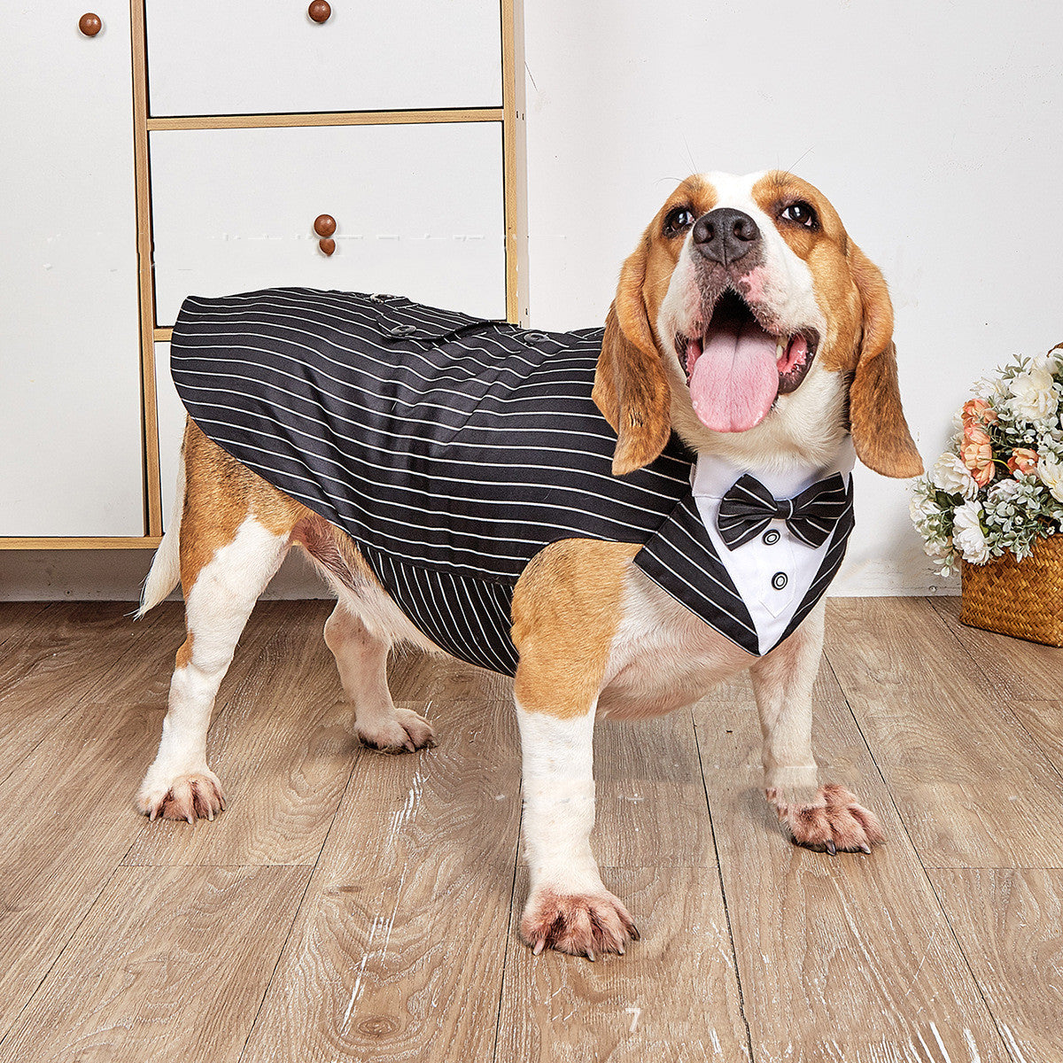 Swallowtail Formal Pet Wedding Suit Jacket