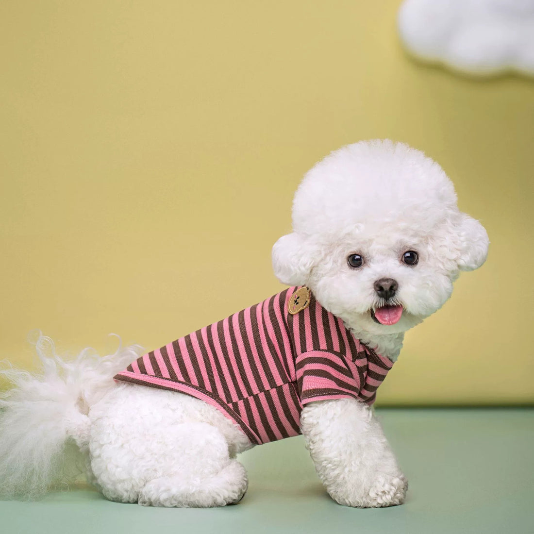 Summer Breathable Pet T Shirt Apparel