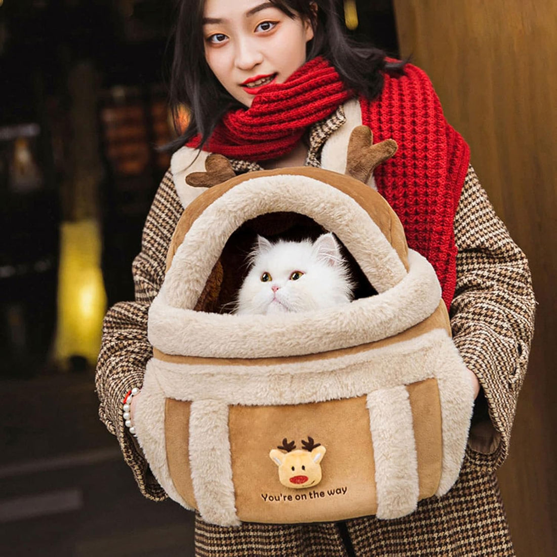 Pet Plush Winter Travel Backpack Carrier Bag With Hand Warmers