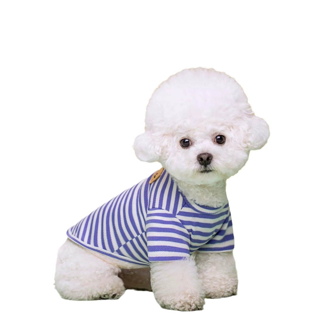 Summer Breathable Pet T Shirt Apparel