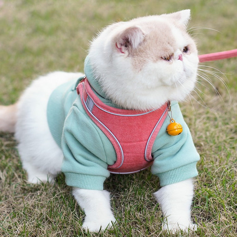 Vest Type Chest Pet Harness Leash