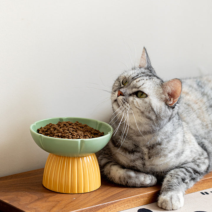 Pet Candy Color Ceramic Feeding Bowl