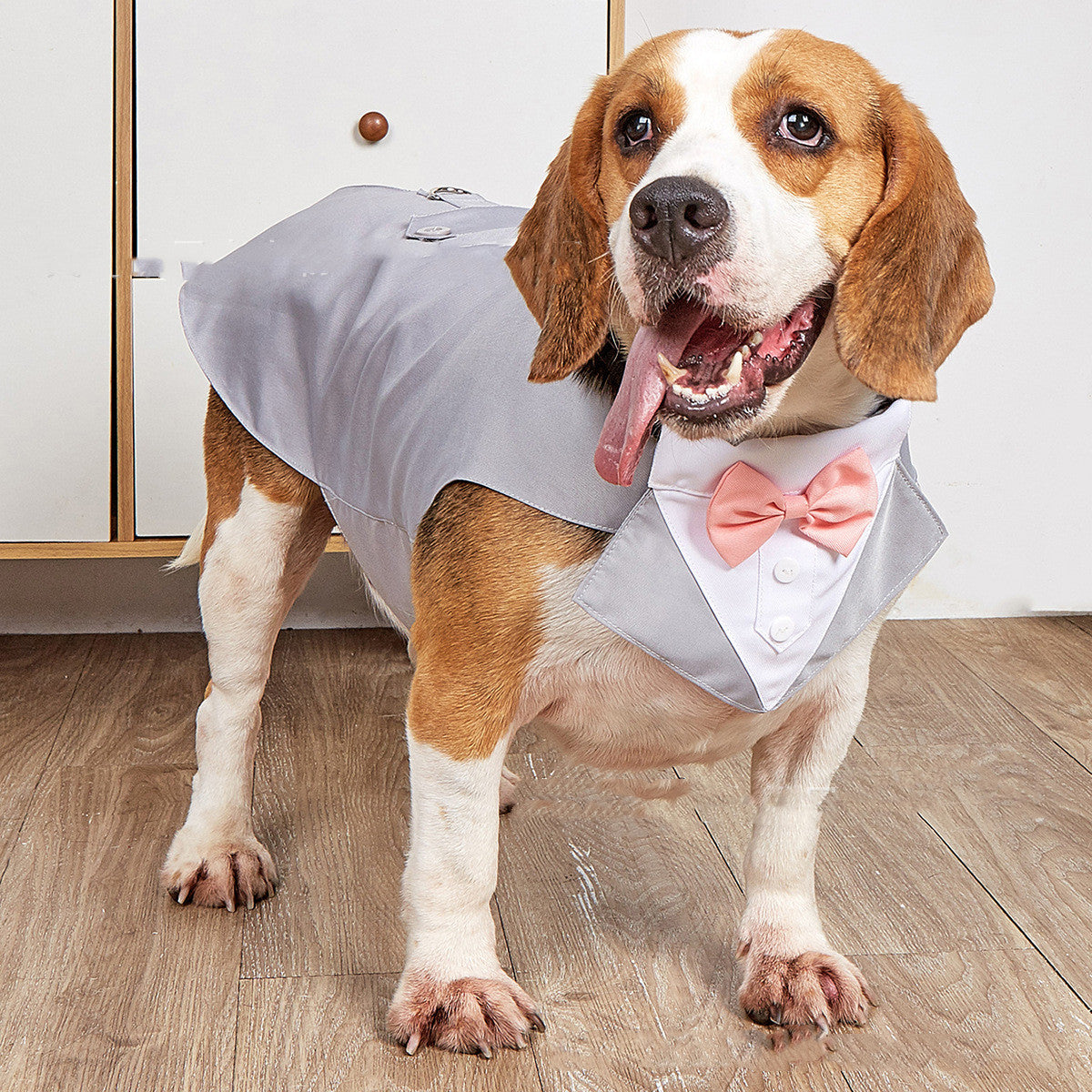 Swallowtail Formal Pet Wedding Suit Jacket