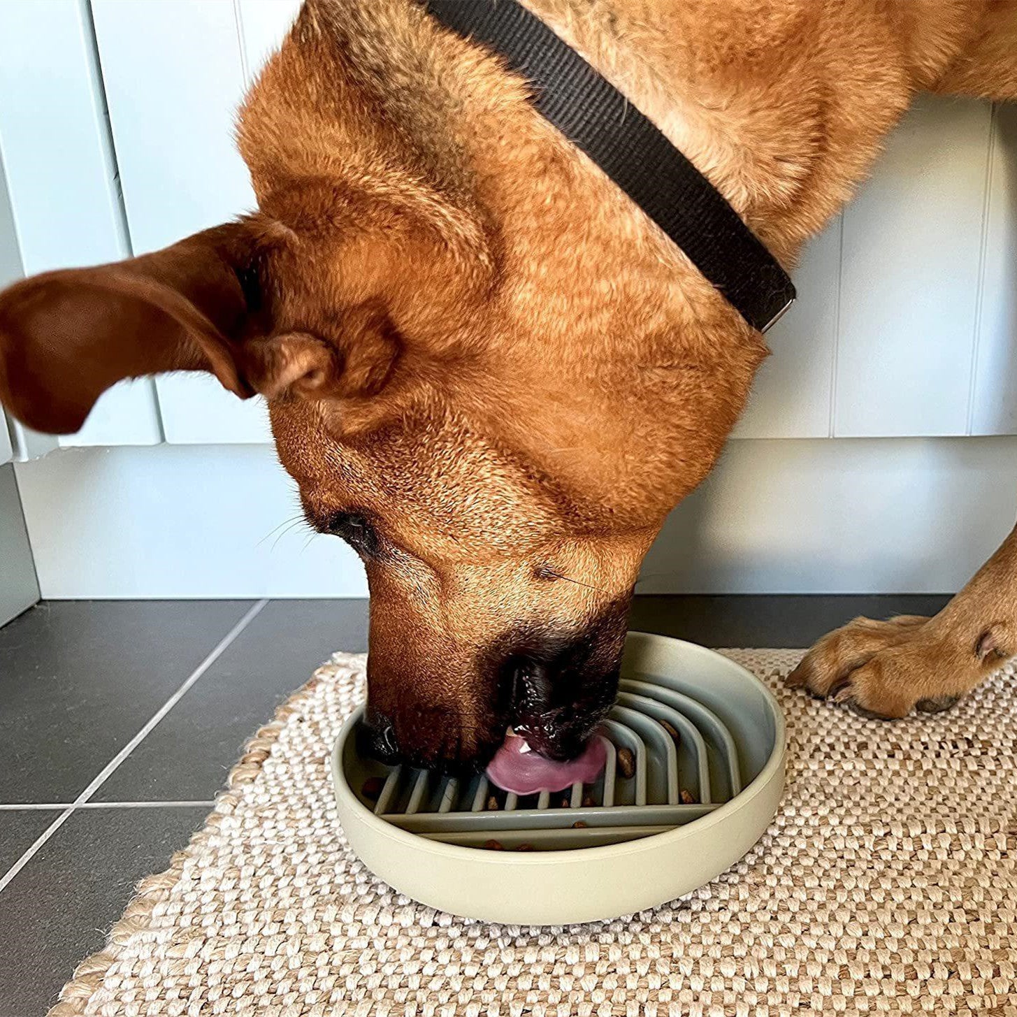 Simple Fashion Pet Slow Feeding Bowl