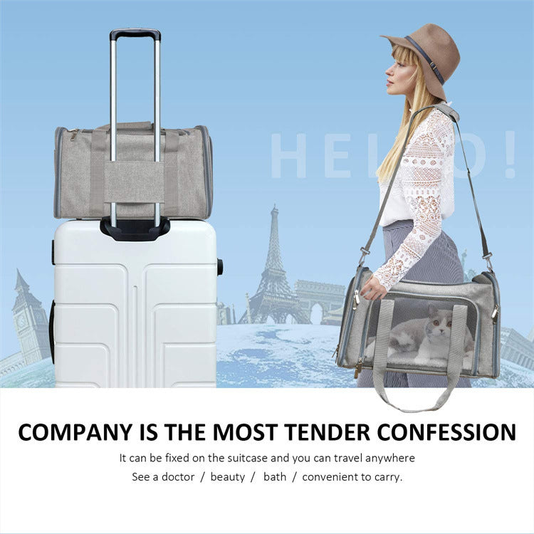 Pet Portable Foldable Handheld Carrier Bag