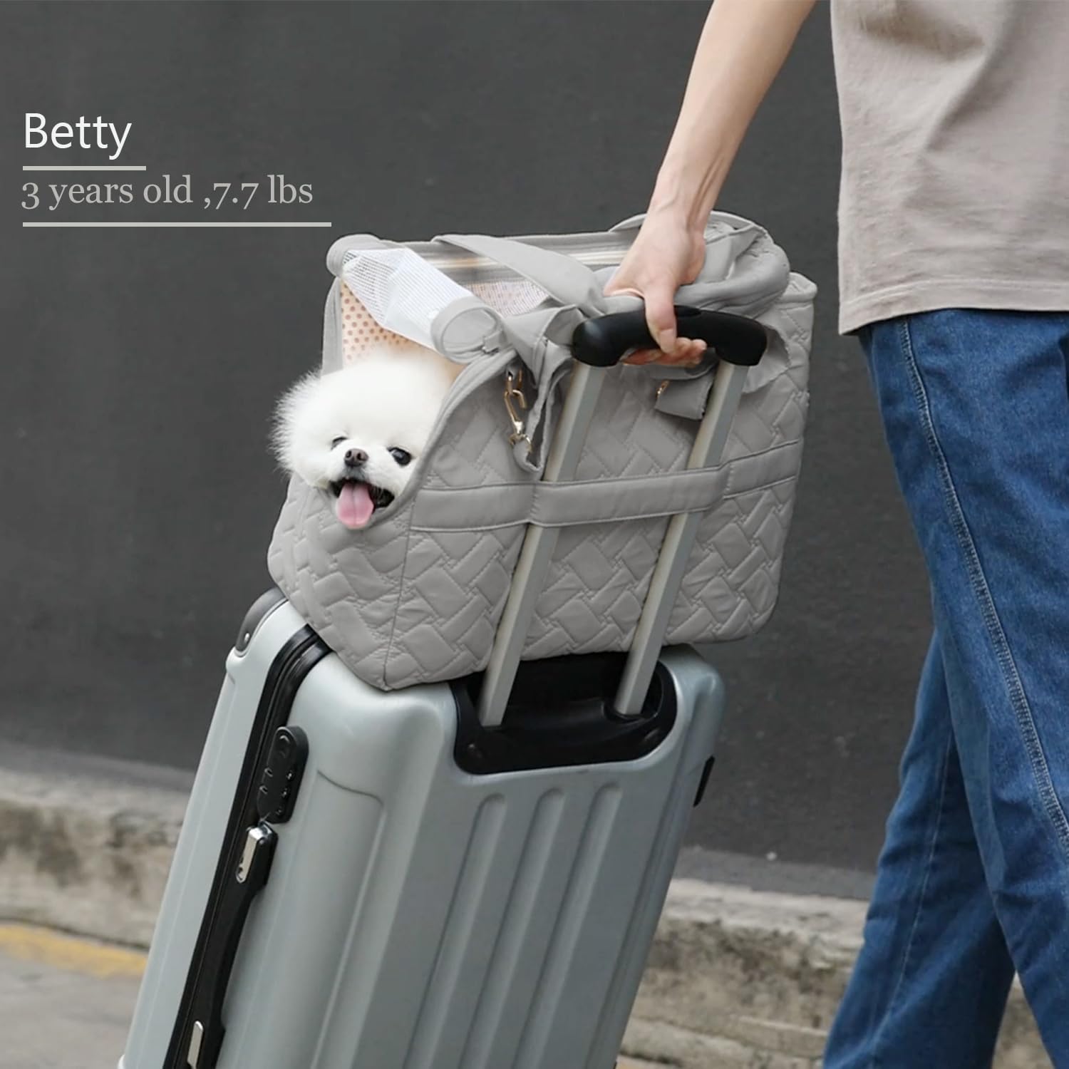 Pet Breathable Mesh Carrier Tote Bag With Pockets