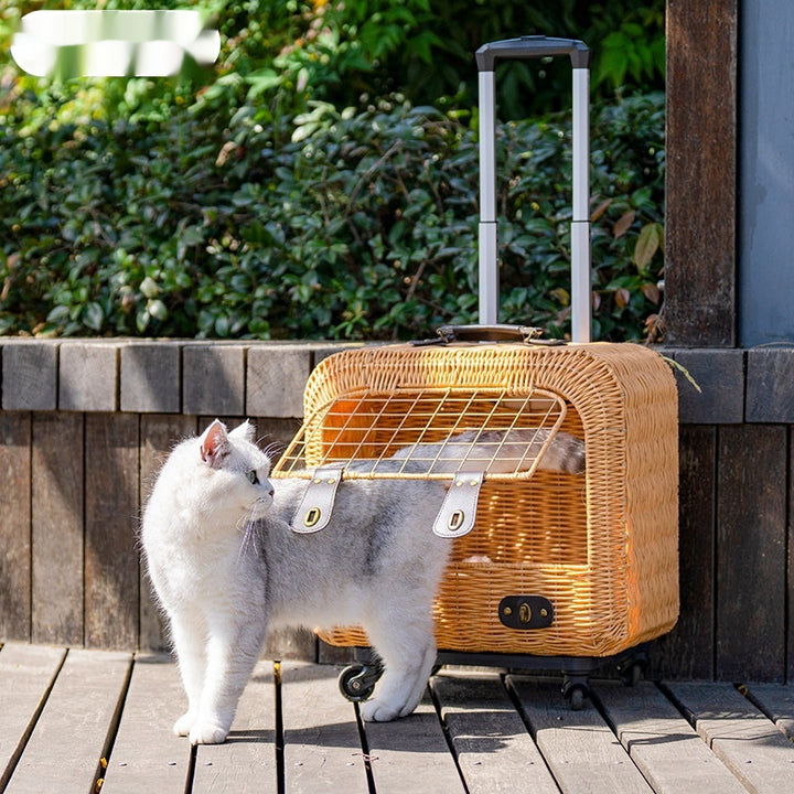 Pet Woven Rattan Ventilated Carrier Bag With Handle