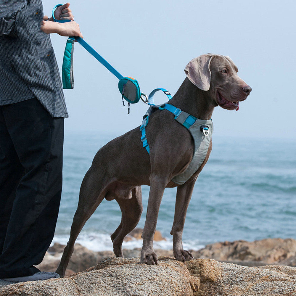 Heavy Duty Pet Chest Strap Leash Storage Bag