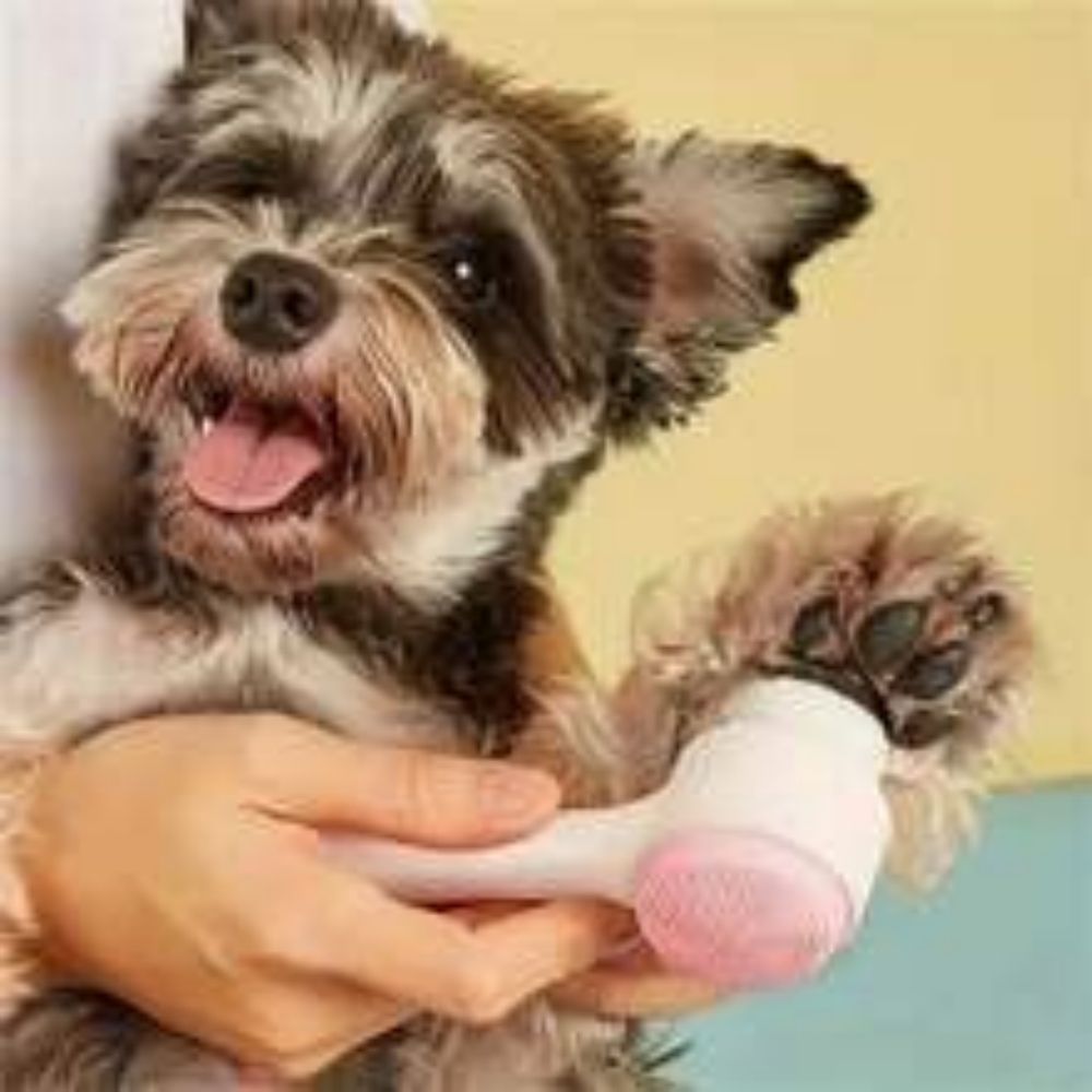 Pet Gentle Nylon Paw Brush Grooming And Massage Tool