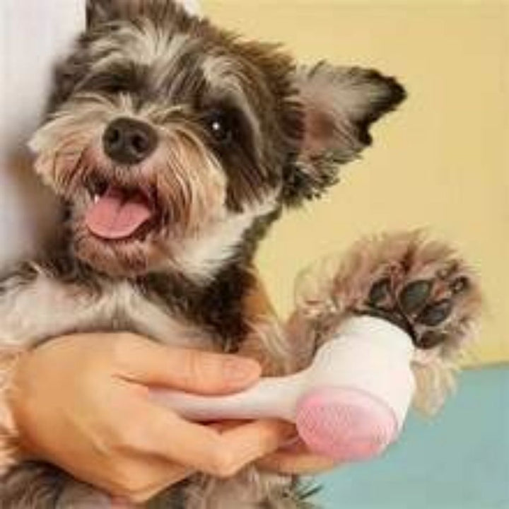 Pet Gentle Nylon Paw Brush Grooming And Massage Tool