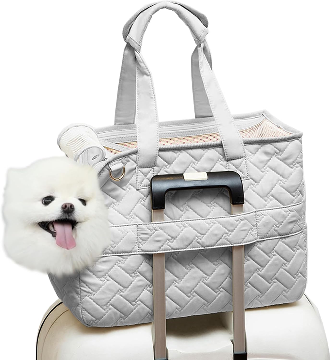Pet Breathable Mesh Carrier Tote Bag With Pockets