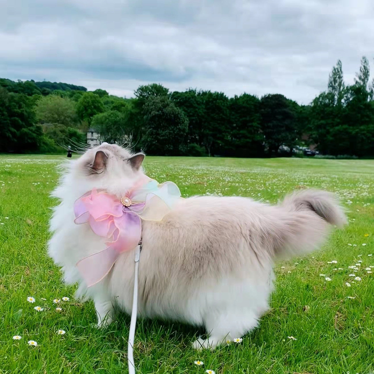 Pet Butterfly Retractable Break-Free Flying Leash