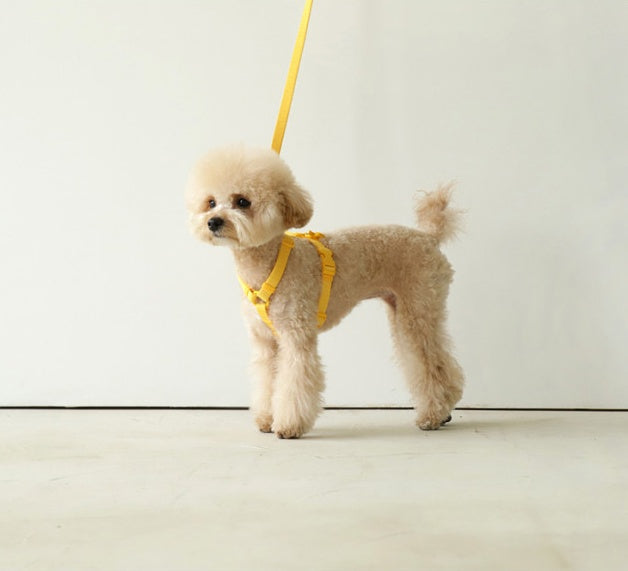 Macaron Style Pet Leash Harness Set