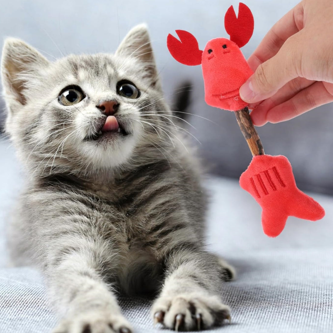 Pet Chew Stick Interactive Teeth Cleaning Toy