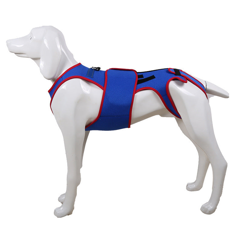 Spine Support Anti Hunch Pet Jacket