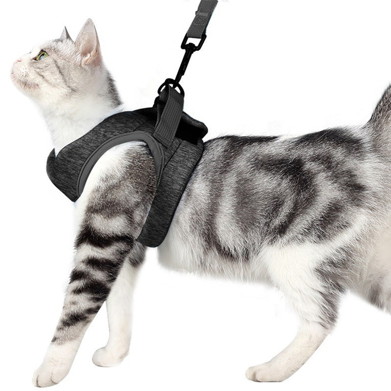 Pet Lace Rope Breathable Lightweight Chest Strap Leash