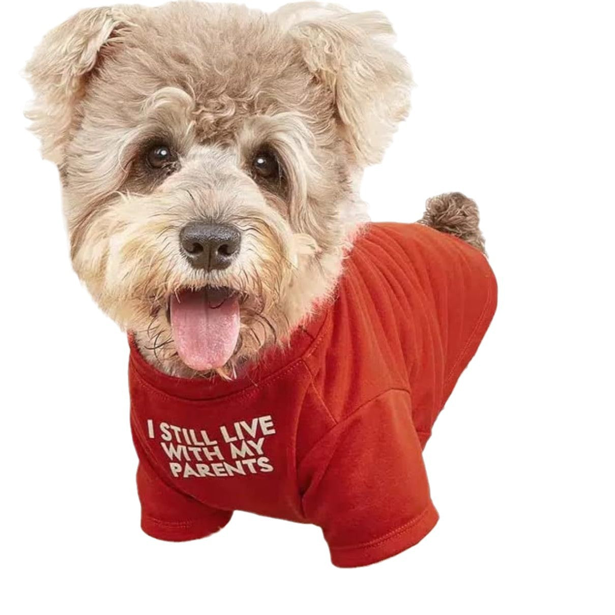 Round Neck Pet T Shirt Apparel