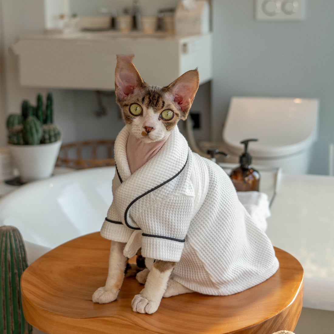 Soft Absorbent Pet Bathrobe And Towel Set