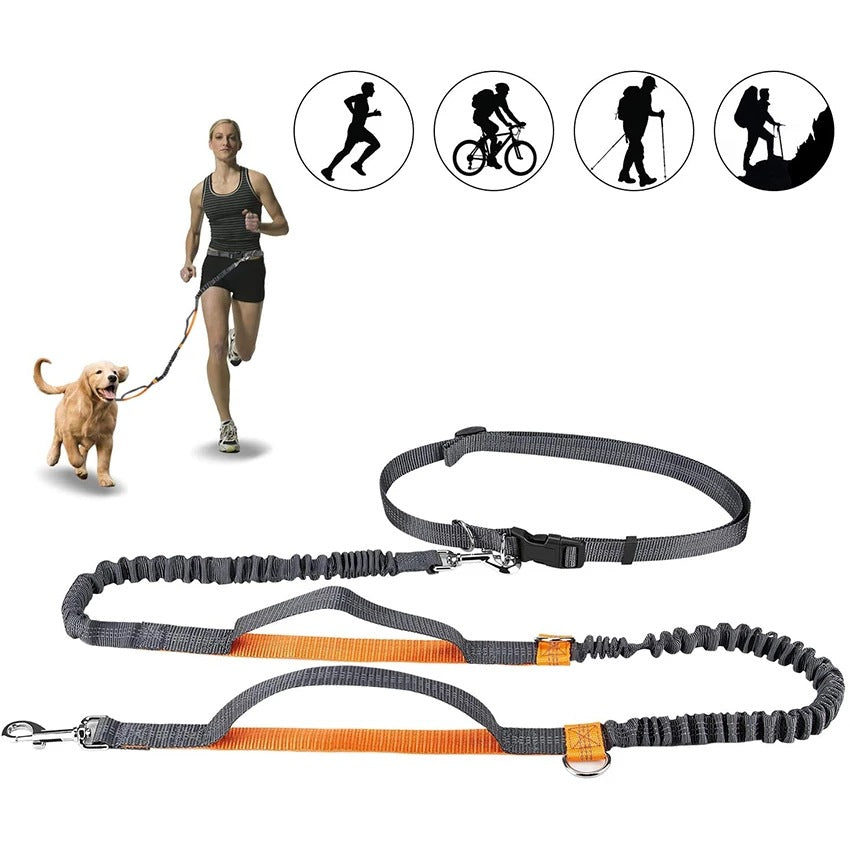 Adjustable Pet Harness Collar And Jogging Leash
