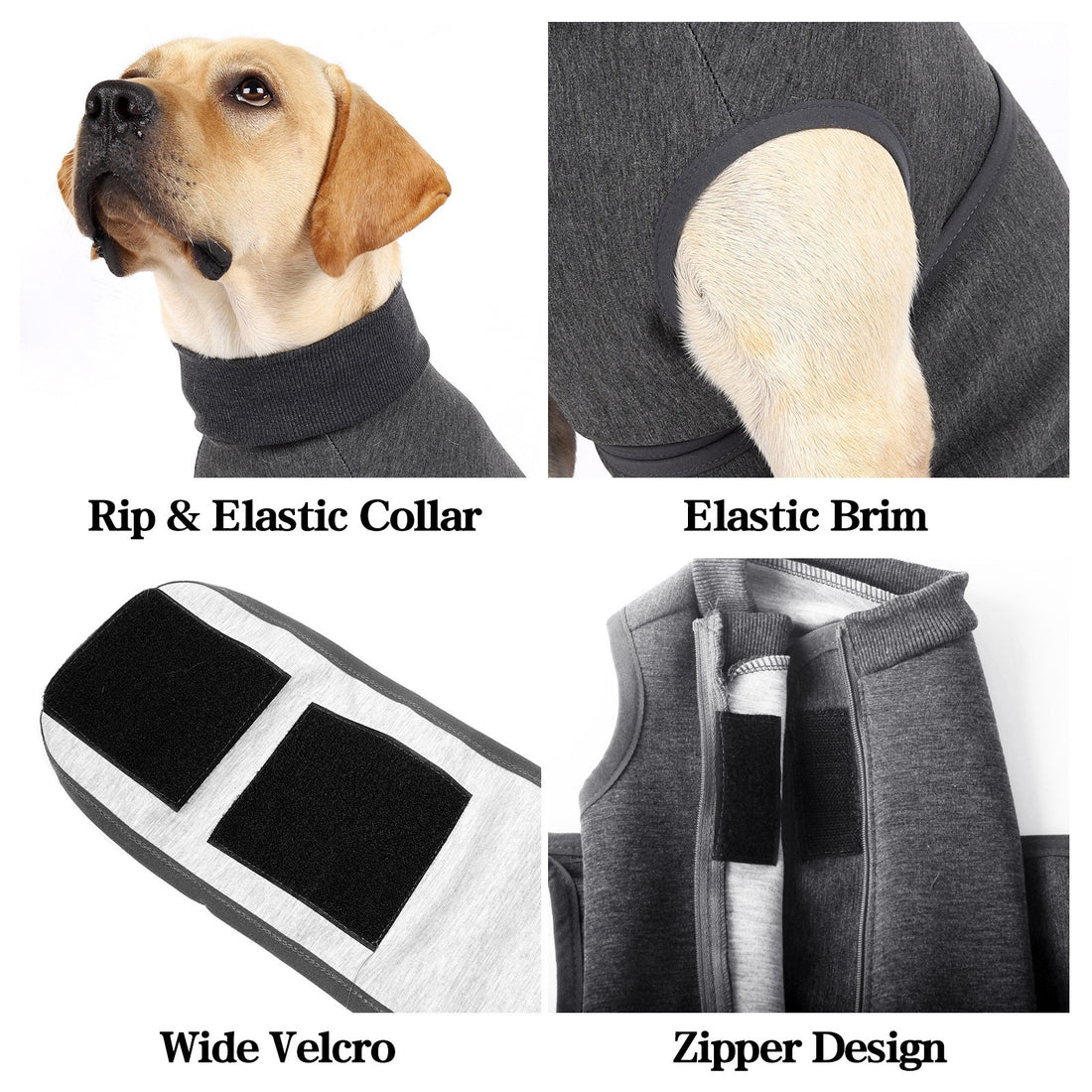 Emotional Comfort Cotton Pet Double Layer Polyester Jacket