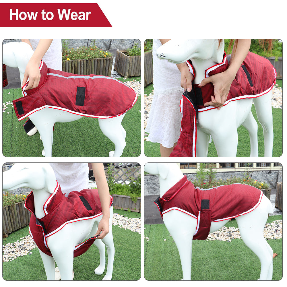 Warm Waterproof Pet Jacket For Autumn Winter Comfort
