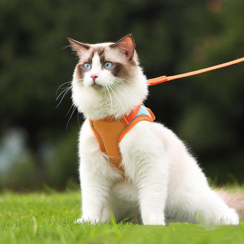 Reflective Anti Escape Pet Harness Leash