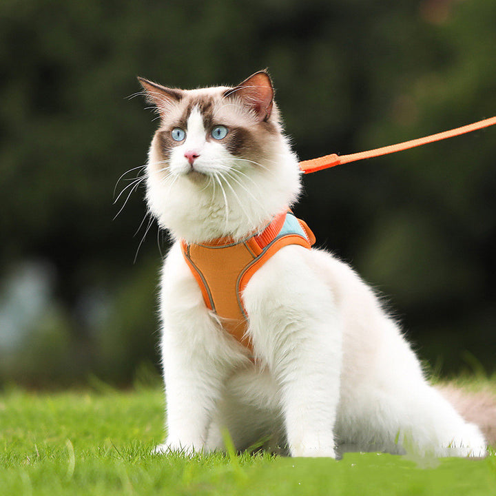 Reflective Anti Escape Pet Harness Leash