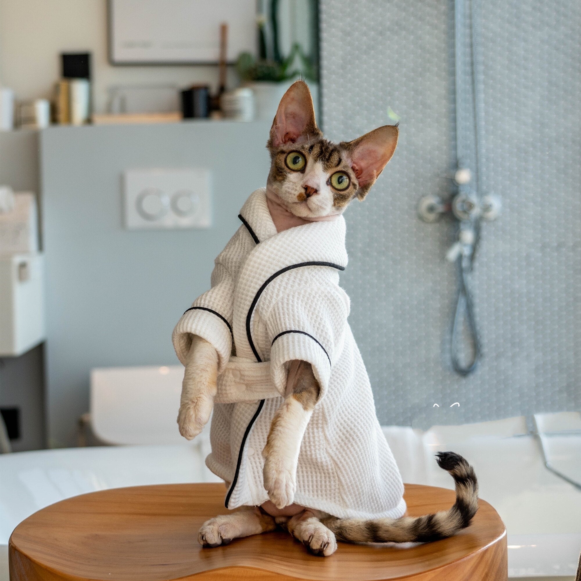 Soft Absorbent Pet Bathrobe And Towel Set
