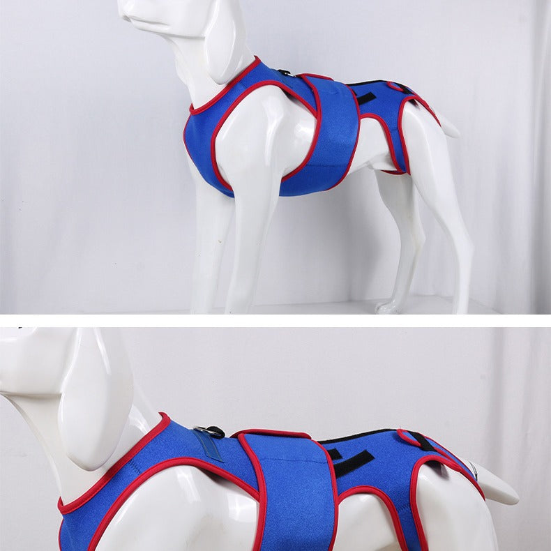 Spine Support Anti Hunch Pet Jacket