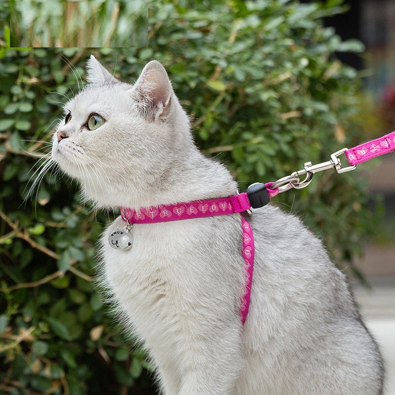 Pet Bell Chest Strap Vest Leash Harness Package Rope
