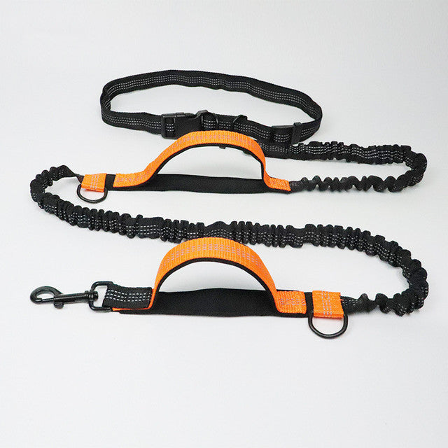 Adjustable Pet Harness Collar And Jogging Leash
