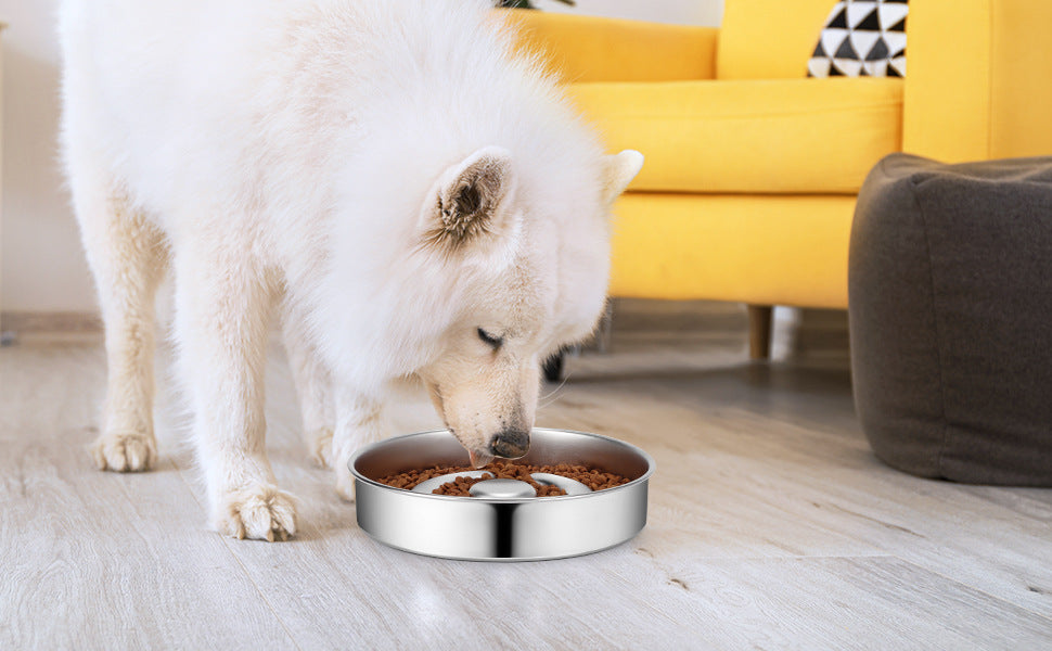 Stainless Steel Pet Slow Feeding Neck Protector Bowl